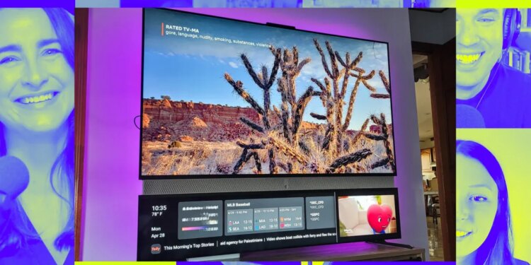 The real price of a free TV