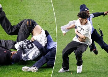 Two Yankees fans get destroyed by security after running onto field
