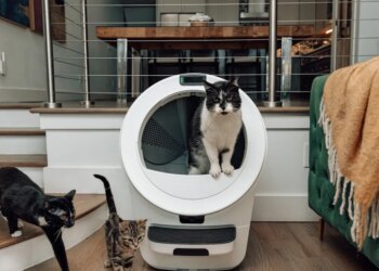 Whisker launches three new Litter-Robots, including one with cameras