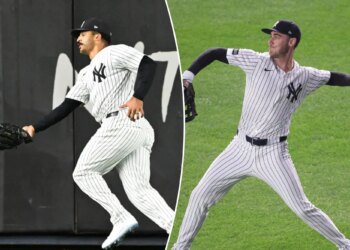 Yankees already know their best center field options in rough market
