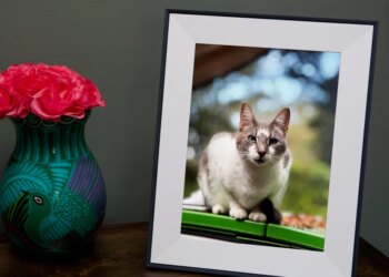 Aura’s latest, gift-worthy digital photo frame is $30 off for Black Friday
