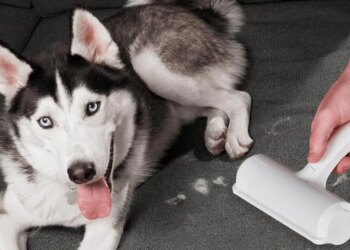 Black Friday deals that are most popular with Verge readers