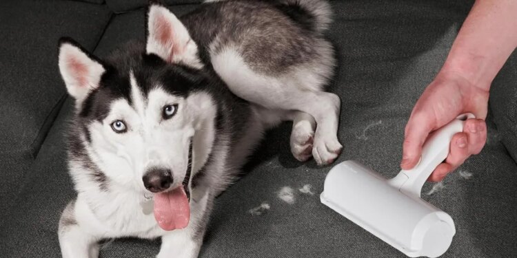 Black Friday deals that are most popular with Verge readers