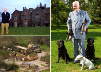 British baronet Sir Benjamin Slade seeks 'good breeder'