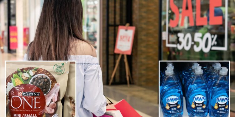 Economic anxiety makes more shoppers opt for basics instead of luxury goods on Black Friday: report