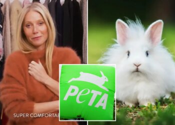 Exclusive | PETA urges Gwyneth Paltrow’s Goop to stop using fur from cute angora rabbits subjected to ‘unending hell’ in Chinese factories