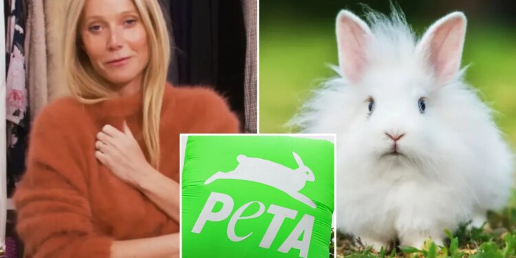 Exclusive | PETA urges Gwyneth Paltrow’s Goop to stop using fur from cute angora rabbits subjected to ‘unending hell’ in Chinese factories