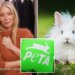 Exclusive | PETA urges Gwyneth Paltrow’s Goop to stop using fur from cute angora rabbits subjected to ‘unending hell’ in Chinese factories