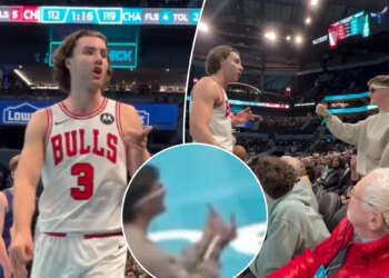 Hornets fan ejected after courtside exchange with Bulls' Josh Giddey