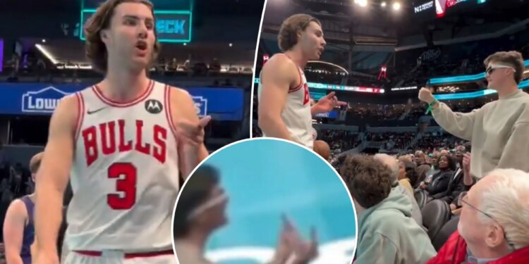 Hornets fan ejected after courtside exchange with Bulls' Josh Giddey