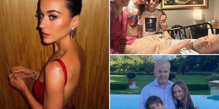 Katy Perry sues disabled veteran for $5M over property dispute