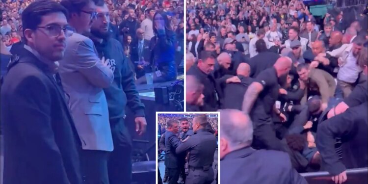 Massive UFC 322 brawl breaks out between Dillon Danis, Islam Makhachev's team