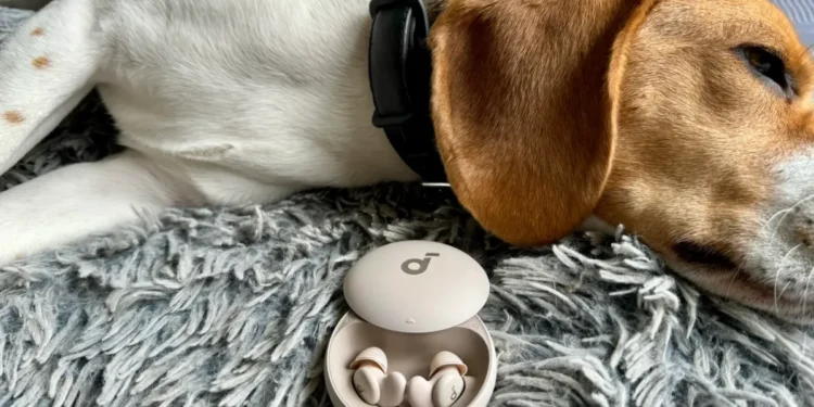 My favorite snore-blocking sleepbuds are down to their lowest price