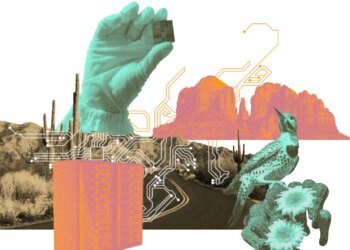 Art depicts desert rock formations, plants and a bird, a gloved hand holding a chip, and racks of servers.