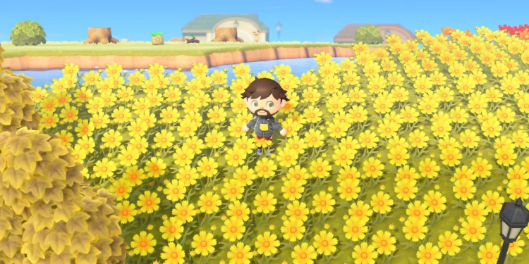 An Animal Crossing villager stands in a field of yellow cosmos. Across the river in the background are tree stumps and some other debris.