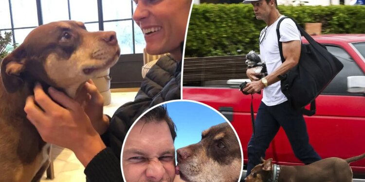 Tom Brady reveals he cloned his late dog to create newest pooch