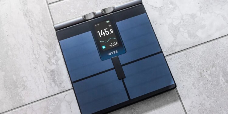 Wyze’s new scale measures segmented body composition with a handle