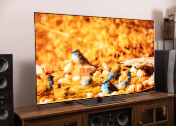 The LG G5 OLED TV on a wooden home theater credenza, displaying an image of small colorful birds.
