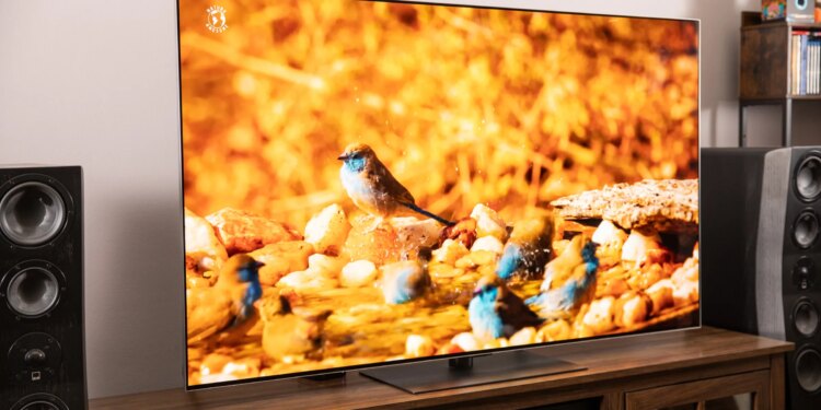 The LG G5 OLED TV on a wooden home theater credenza, displaying an image of small colorful birds.