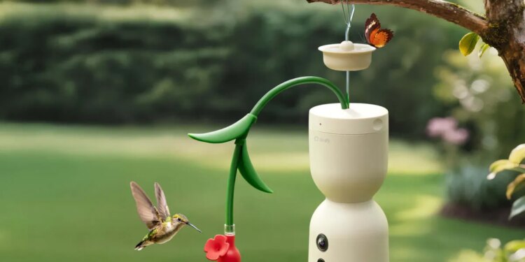 Birdfy’s Hum Bloom captures 120fps slow motion footage of hummingbirds
