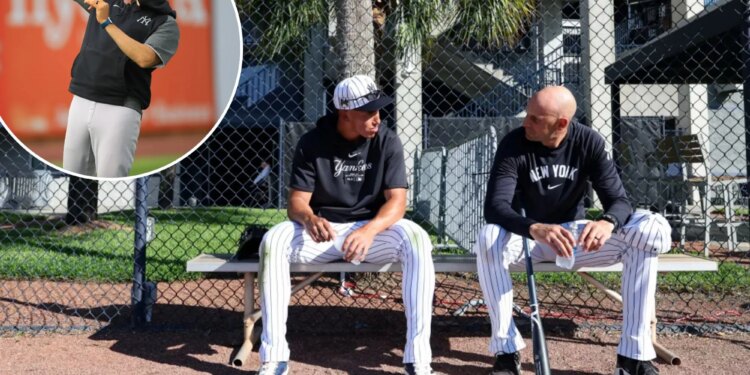 Dan Fiorito finally getting his MLB chance with Yankees