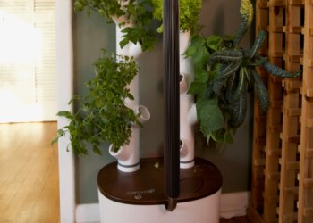 Gardyn Studio 2 review: this smart garden turned my black thumb green