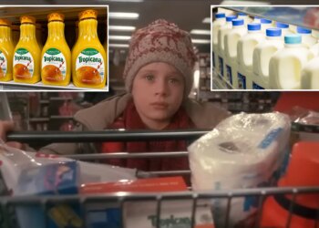 Kevin McCallister spent $19.83 on groceries in 'Home Alone.' Here’s what it costs now