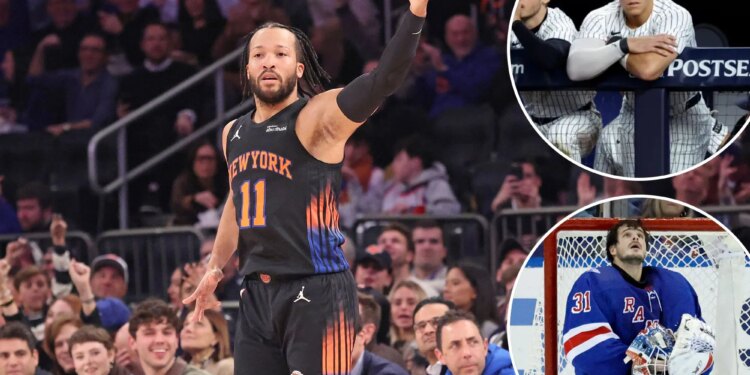 Knicks are proving to be oasis in a New York sports wasteland