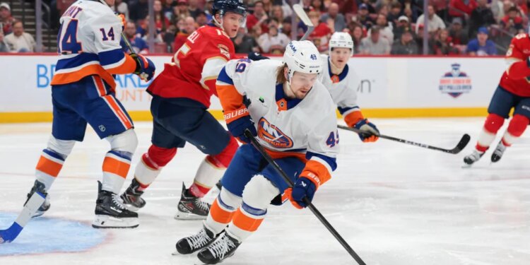 New York Islanders right wing Max Shabanov (49) moves the puck against the Florida Panthers during the second period.