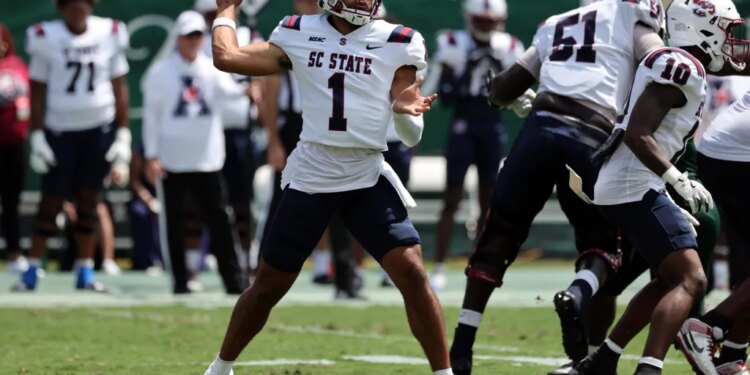 South Carolina State Bulldogs quarterback William Atkins IV (1) throws the ball against the South Florida Bulls.