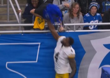 DK Metcalf appeared to strike a fan during the Steelers' game against the Lions on Dec. 21.