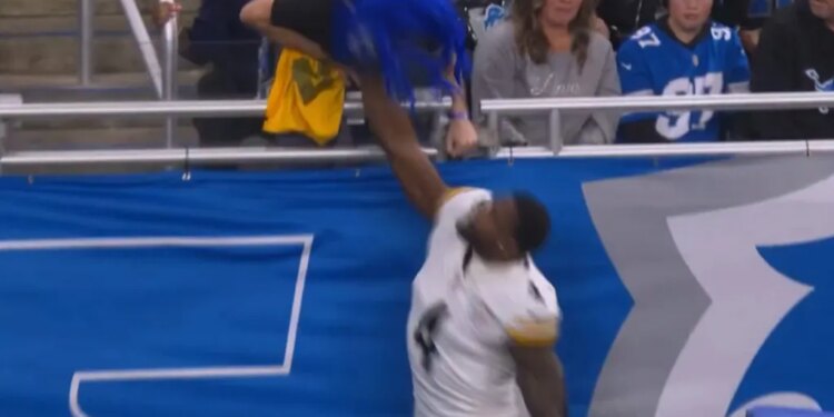 DK Metcalf appeared to strike a fan during the Steelers' game against the Lions on Dec. 21.