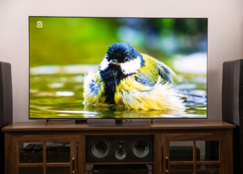 The LG G5 OLED TV on a wooden home theater credenza, displaying an image of a bird in water.