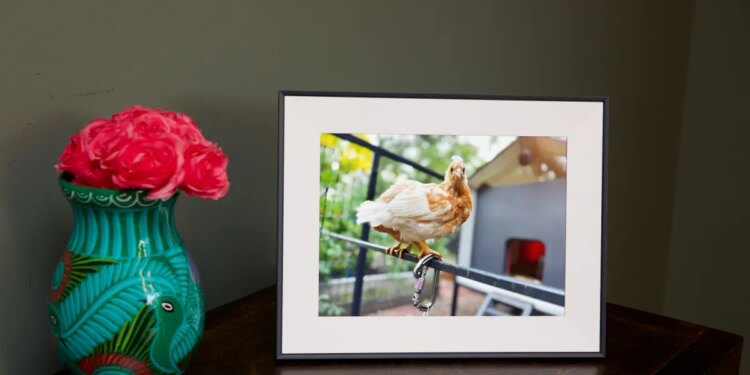 These Verge-approved gifts are still available for up to 60 percent off for Cyber Monday