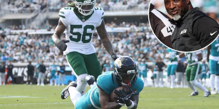 These certainly look like the 'Same Old Jets'