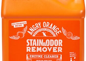 A gallon-sized container of Angry Orange Stain & Odor Remover.