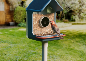Birdbuddy’s new smart feeders aim to make spotting birds easier, even for beginners