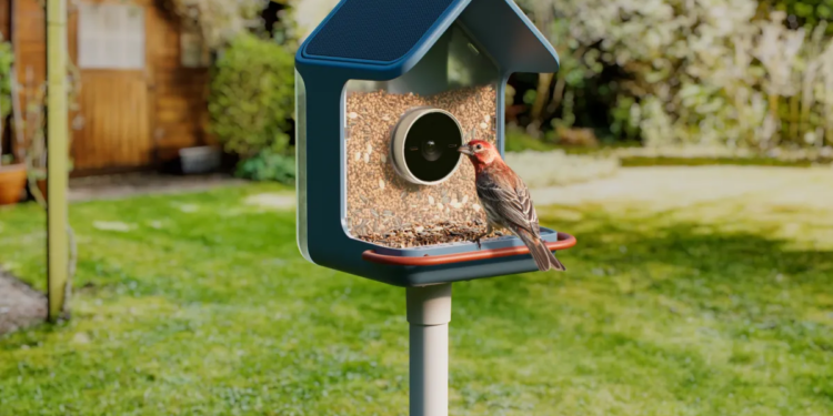 Birdbuddy’s new smart feeders aim to make spotting birds easier, even for beginners