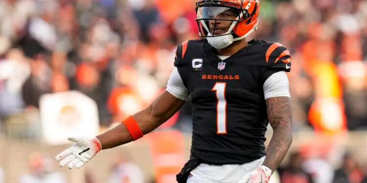 Cincinnati Bengals wide receiver Ja'marr Chase (1) reacts after the Bengals are forced to punt in the fourth quarter against the Cleveland Browns at Paycor Stadium.