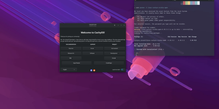 Cachy splash screen showing the Hello window and a terminal