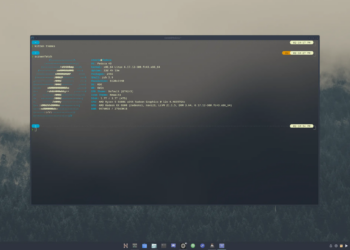 A screenshot of a customized Linux terminal