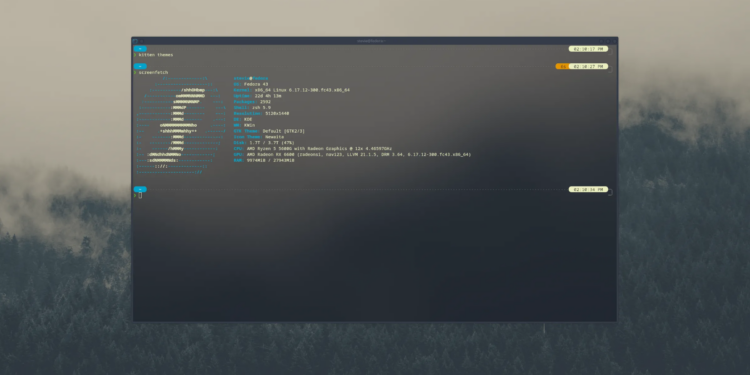 A screenshot of a customized Linux terminal
