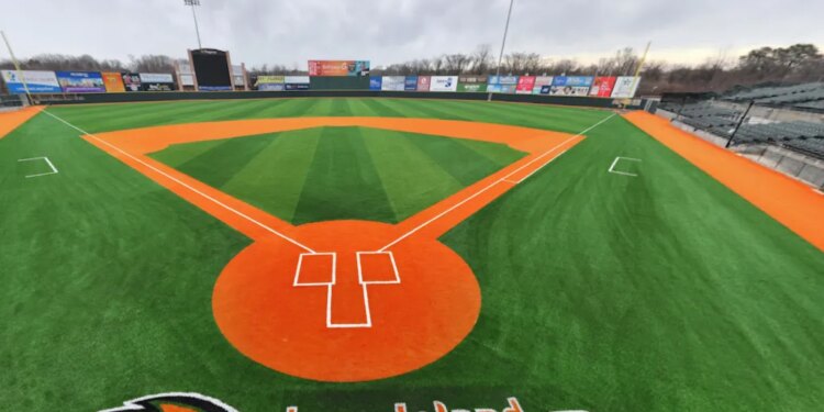 Baseball field with green turf and orange dirt.