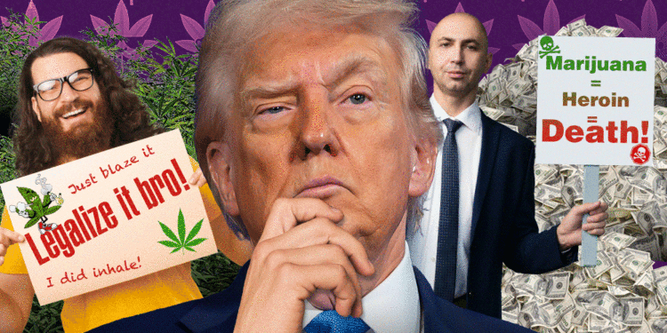 Marijuana industry taking fight against Wall Street blockades straight to Trump