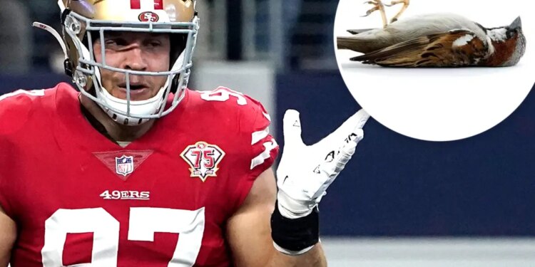 Nick Bosa trolls Philadelphia Eagles after Niners' playoff win