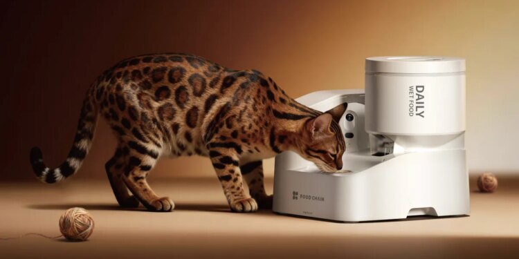 Petkit’s automatic wet food feeder tracks how much your pet eats