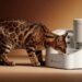Petkit’s automatic wet food feeder tracks how much your pet eats
