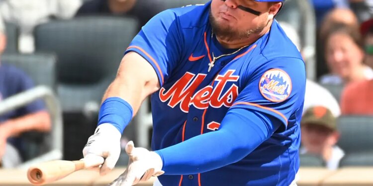 New York Mets designated hitter Daniel Vogelbach hits a 2-run double.