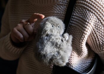 I was sent a gray Mirumi as well.