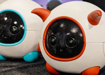 This robot companion is a cameraman for your pet